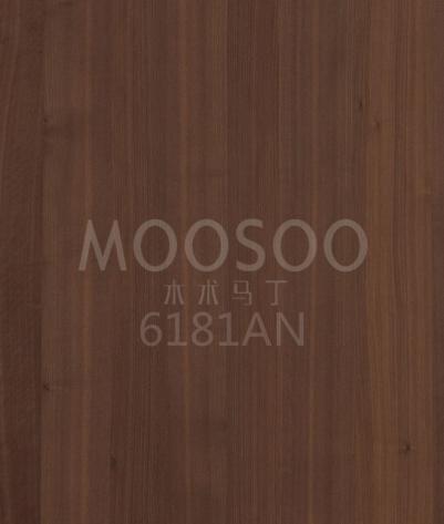 6181AN